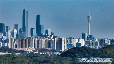  深圳私人工作室品茶：领略高雅品味 